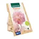 Bild 3 von GARDENLINE Premium-Pfingstrosenknolle