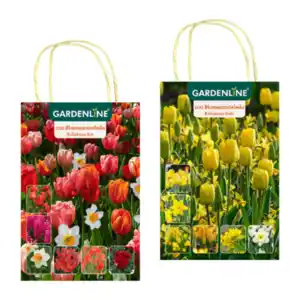 GARDENLINE Blumenzwiebeln Farbthema Herbst