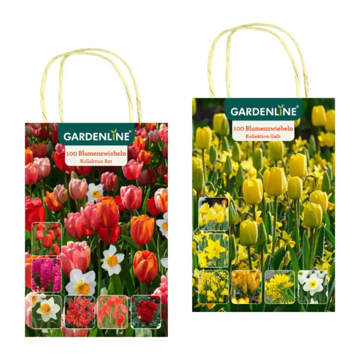 Bild 1 von GARDENLINE Blumenzwiebeln Farbthema Herbst