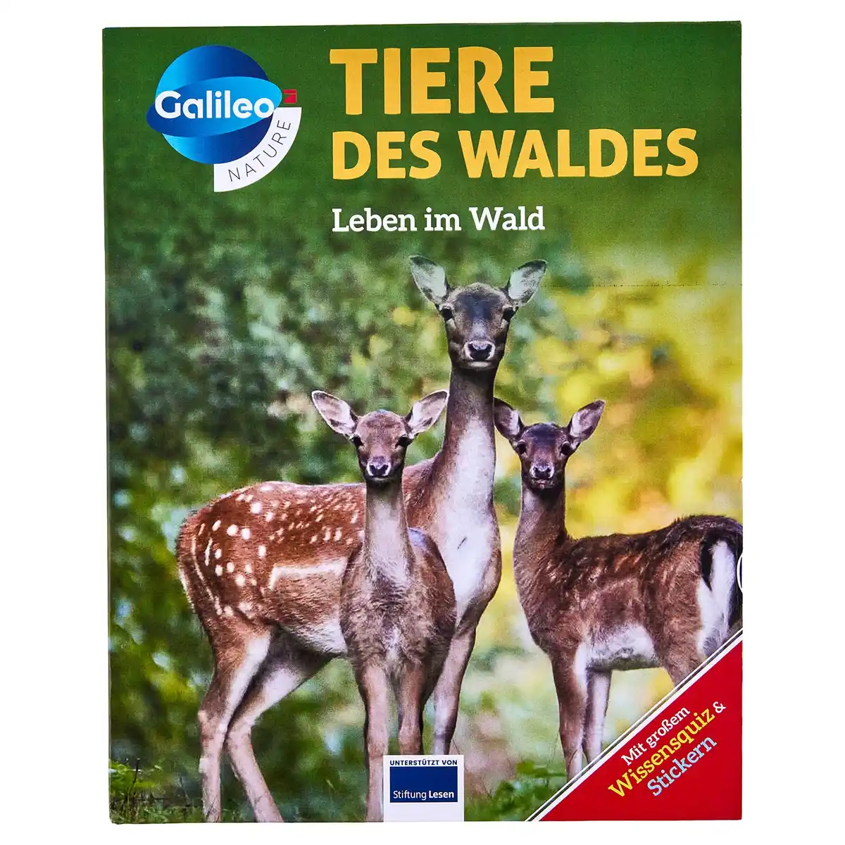 Bild 1 von Galileo Wissen