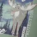 Bild 3 von Kinder-Jungen-Shirt mit Kontrast-Ärmeln