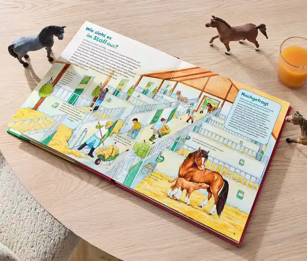 Bild 1 von Buch: »WAS IST WAS Junior – Pferde und Ponys«