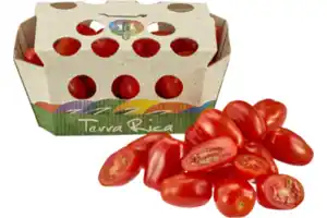 Roma- Cherry- Tomaten