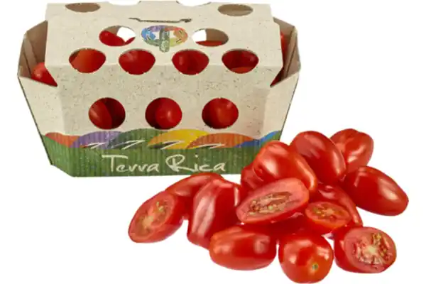Bild 1 von Roma- Cherry- Tomaten