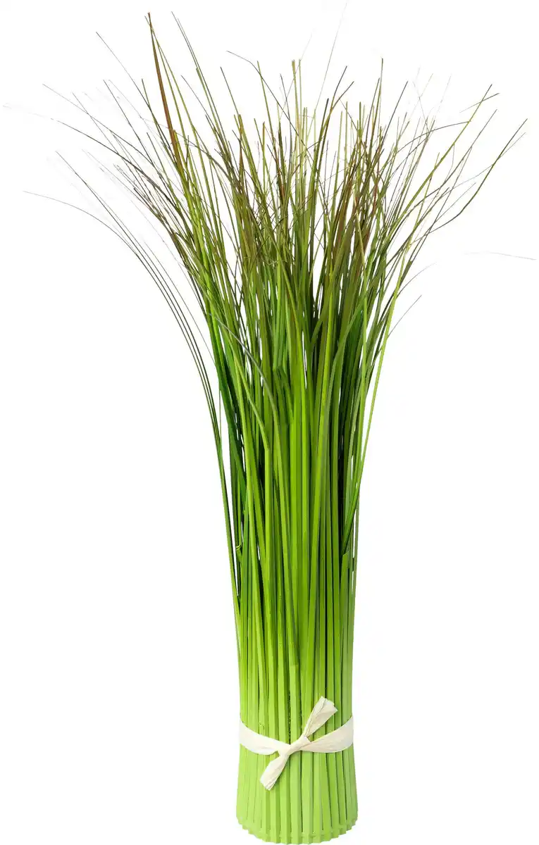 Bild 1 von Grasbündl Markus in Grün, Grün