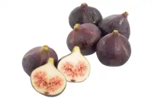 Feigen