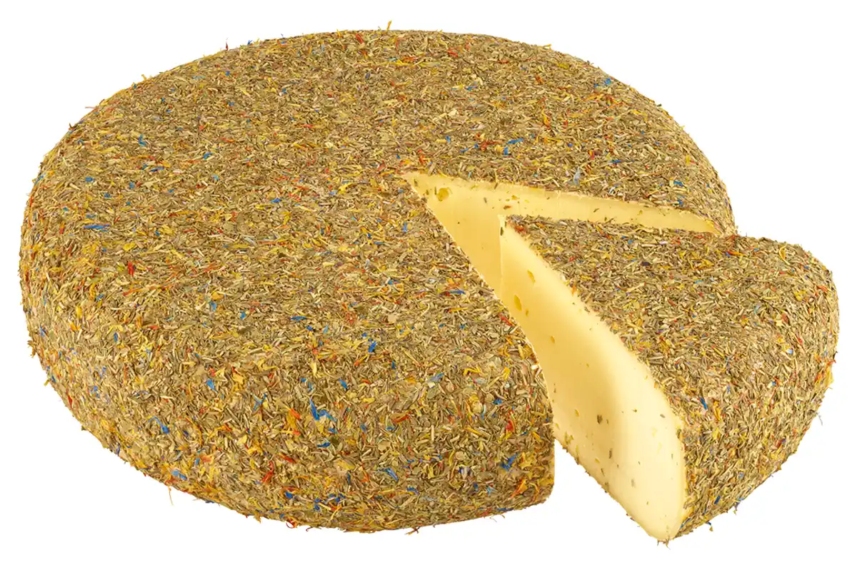 Bild 1 von Le Maître Provence