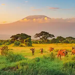 Traumhaftes Kenia