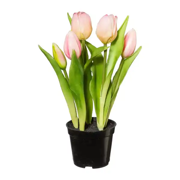 Bild 1 von Kunstpflanze Tulpe I in Grün/Rosa, Grün, Rosa