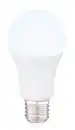 Bild 1 von LED-Leuchtmittel max. 10 Watt, Opal, Weiß