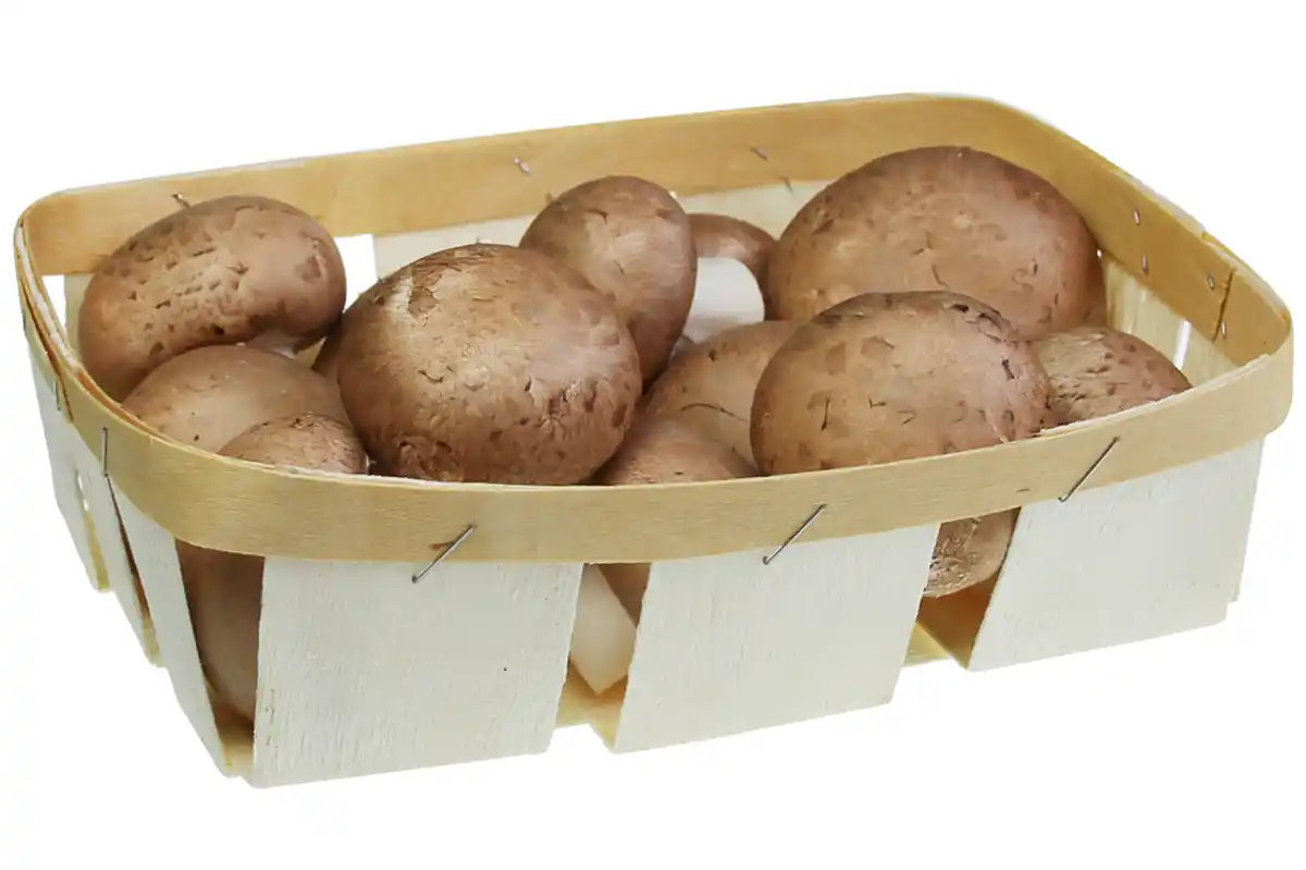 Bild 1 von Champignons