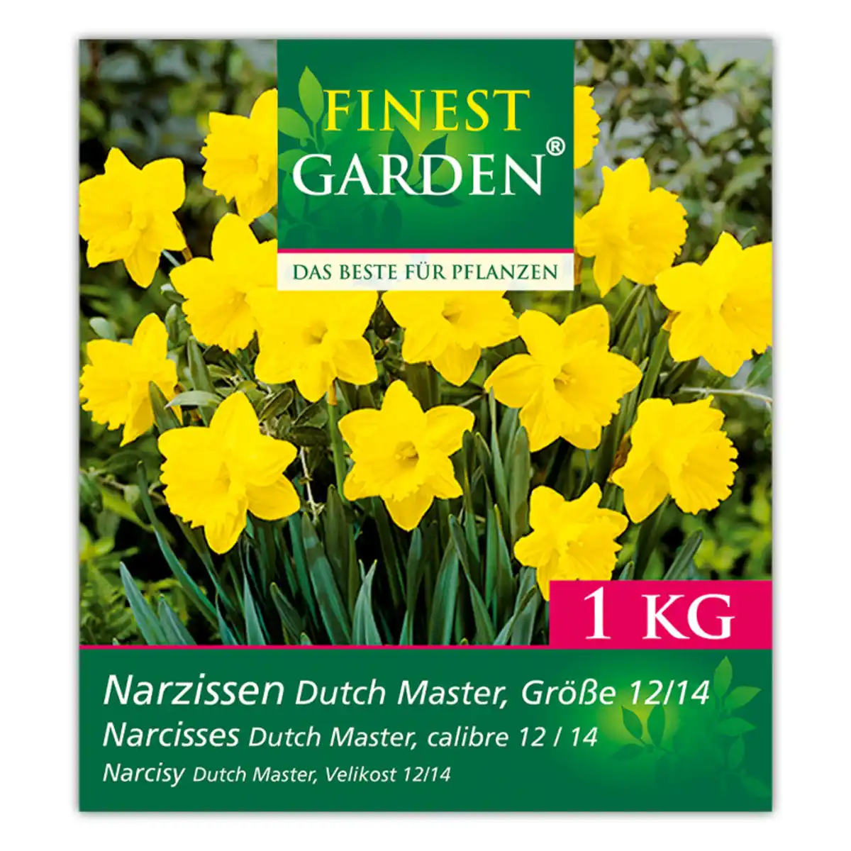 Bild 2 von Finest Garden Blumenzwiebeln Narzissen / Tulpen