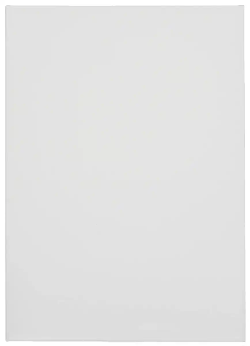 Bild 1 von TALENTUS® Leinwand