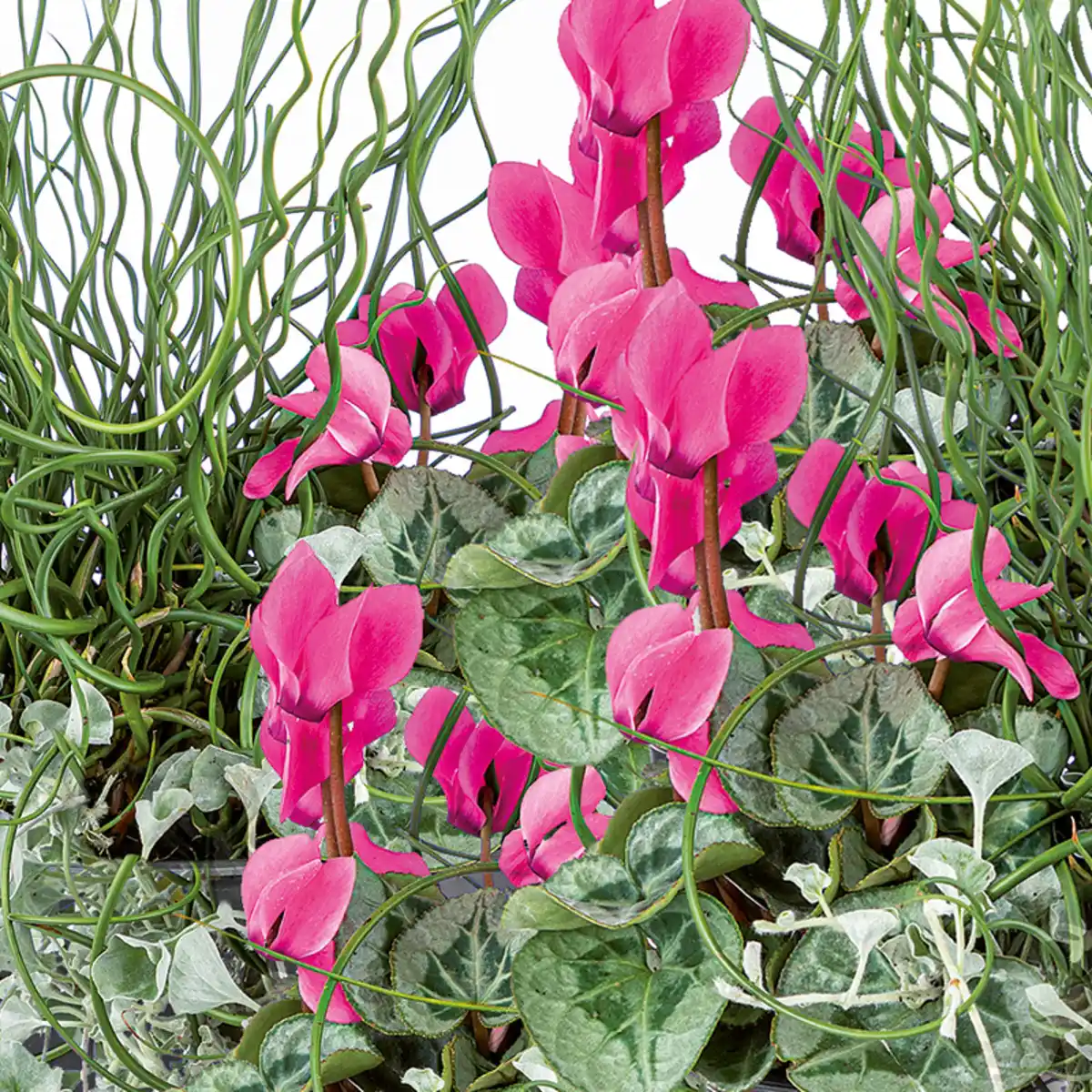 Bild 2 von Herbst Hexe Trio