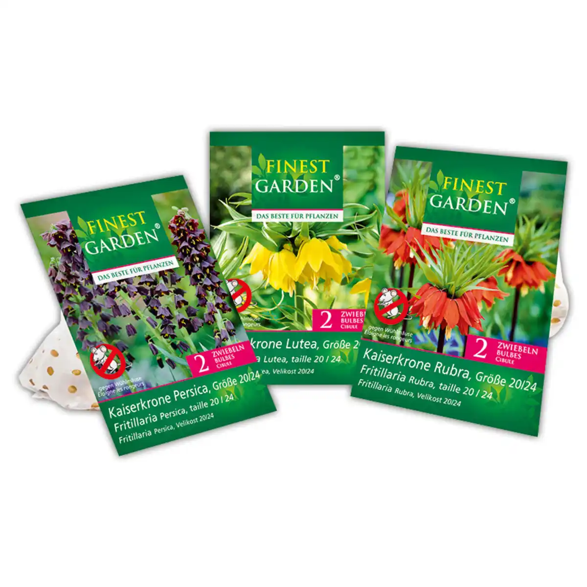 Bild 1 von Finest Garden Kaiserkrone-Zwiebeln