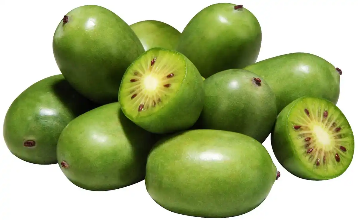 Bild 1 von Port. Kiwibeeren, 125-g-Schale