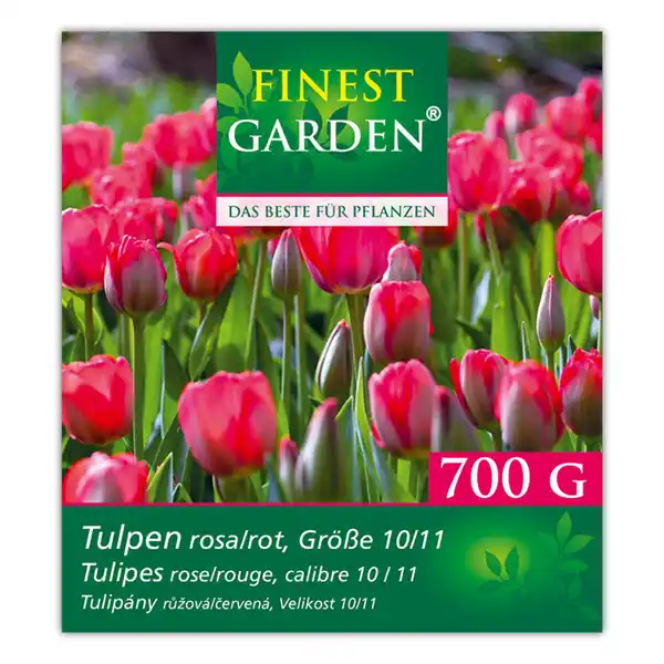 Bild 3 von Finest Garden Blumenzwiebeln Narzissen / Tulpen