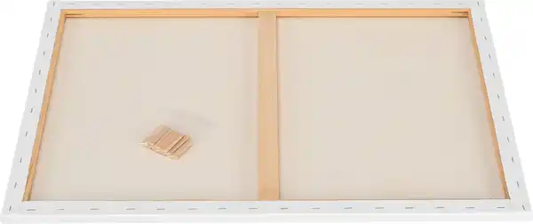 Bild 2 von TALENTUS® Leinwand