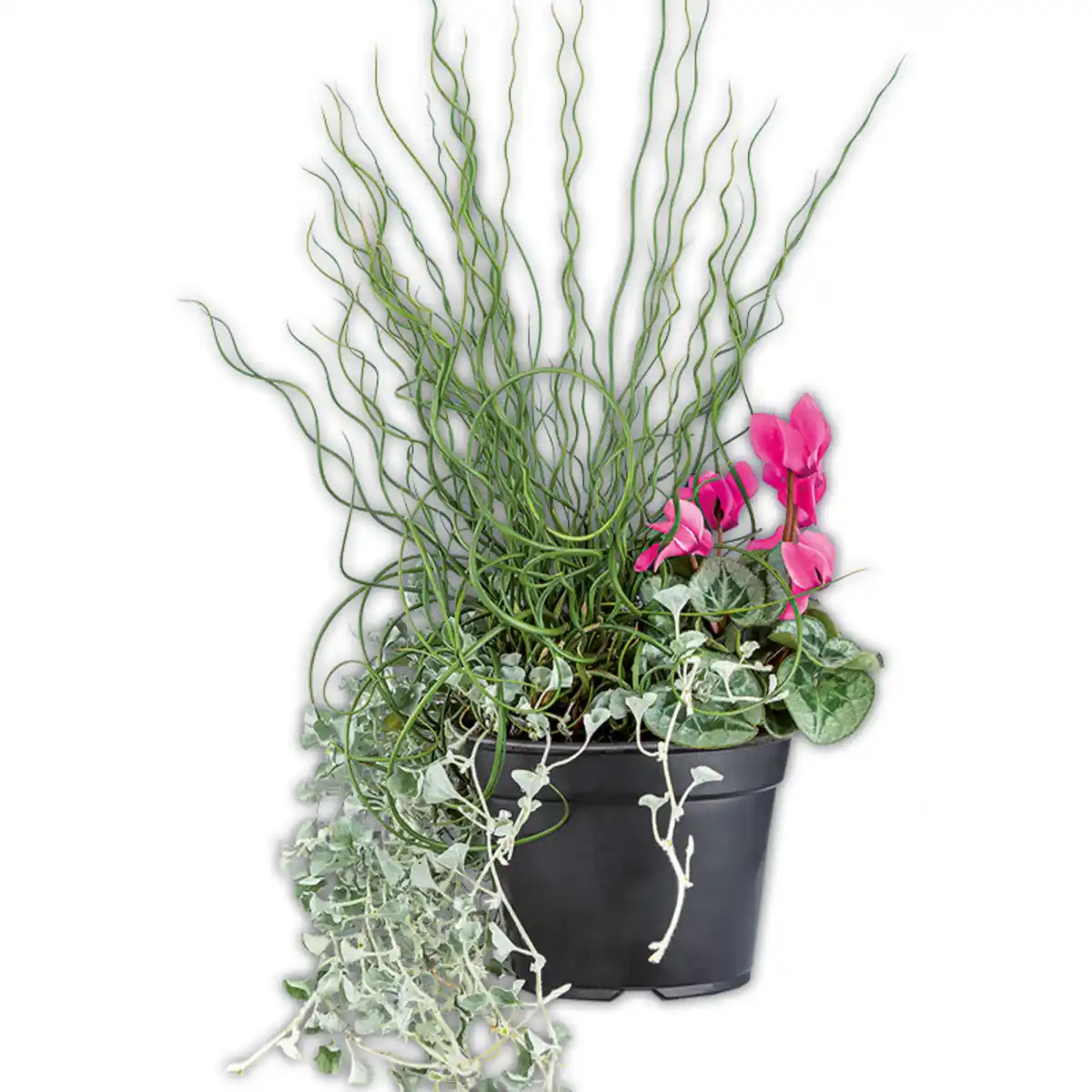 Bild 1 von Herbst Hexe Trio