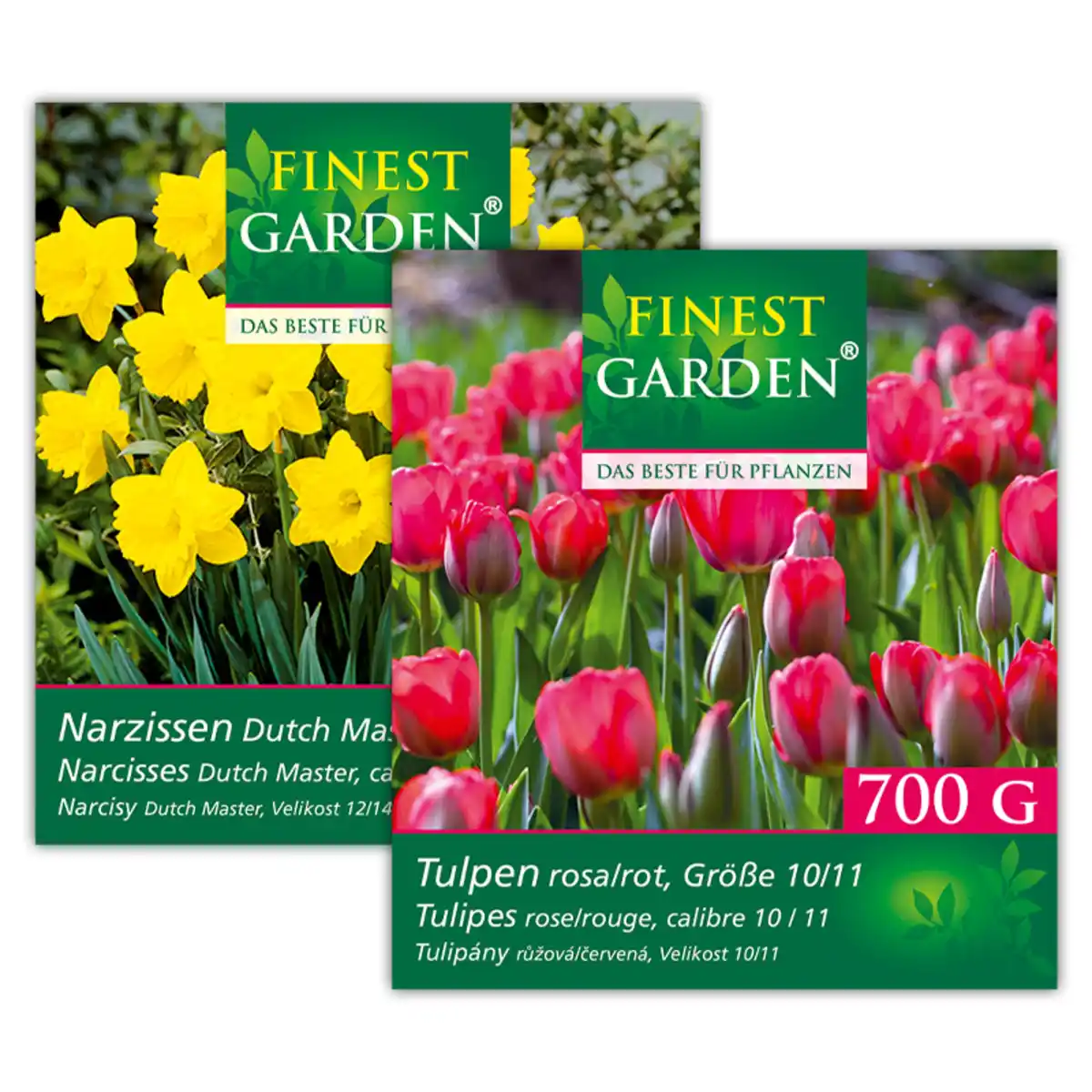 Bild 1 von Finest Garden Blumenzwiebeln Narzissen / Tulpen