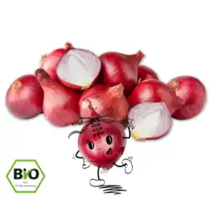 NATURGUT Rote Bio Zwiebeln