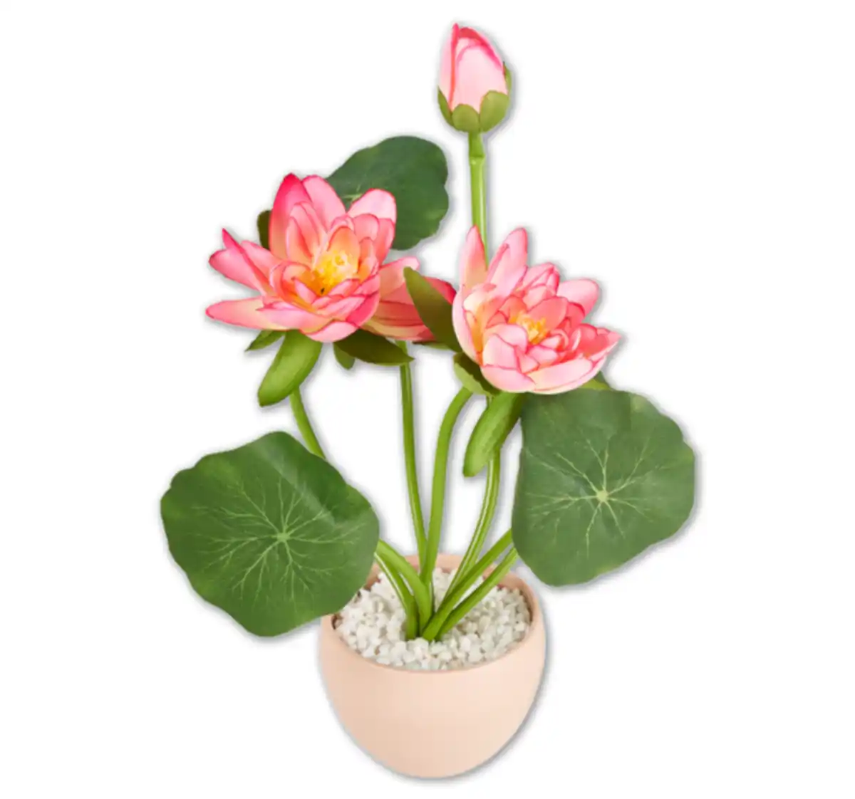 Bild 1 von Deko-Blume im Topf*