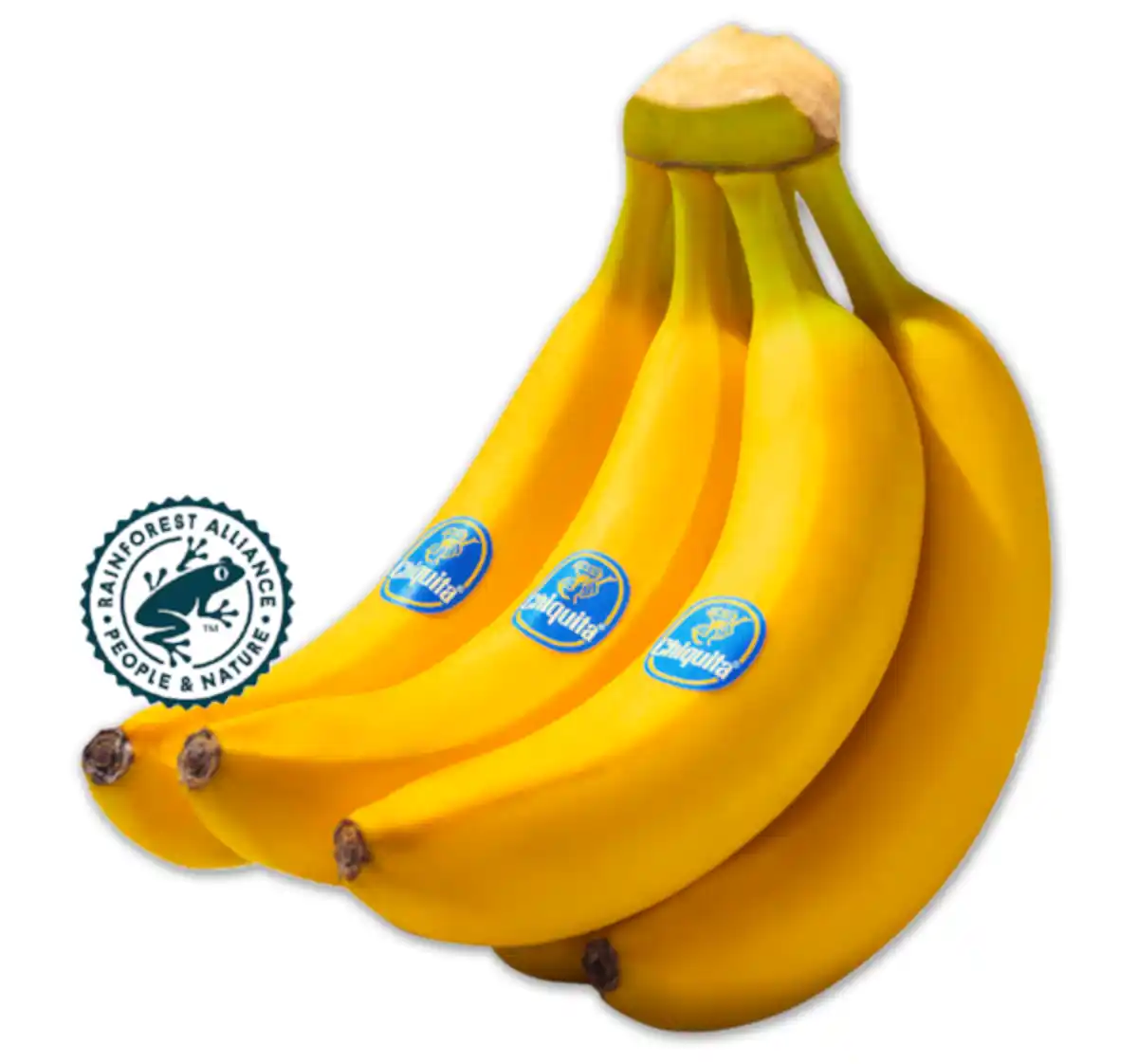 Bild 1 von CHIQUITA Bananen