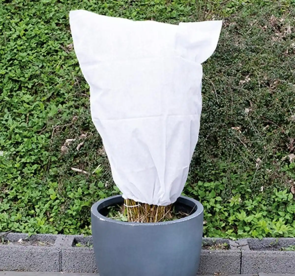 Bild 1 von MANNESMANN Pflanzenwinterschutz*