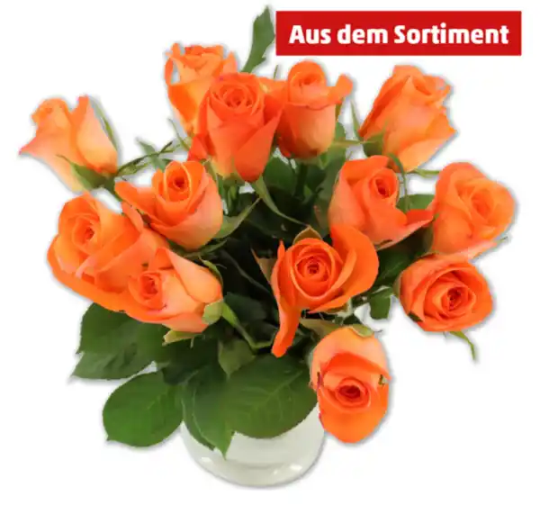 Bild 1 von Rosen
