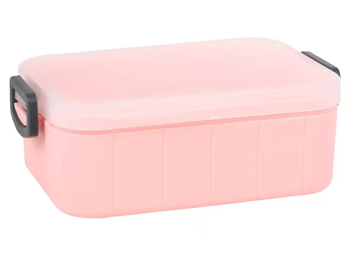 Bild 1 von Lunchbox Kunststoff &amp; Silikon