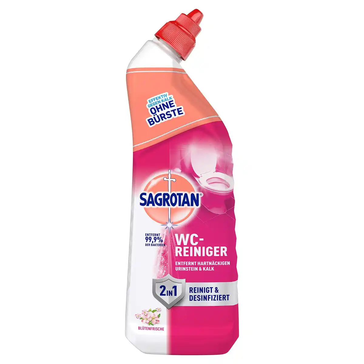 Bild 1 von SAGROTAN Mischkarton Reiniger, WC Blum.fr.