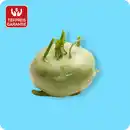 Bild 1 von Kohlrabi, Ursprung: Deutschland
