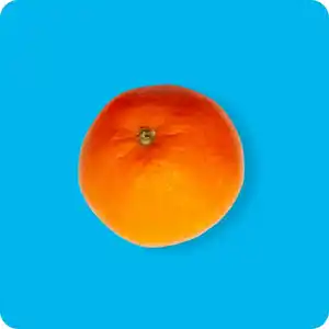 KLEINE SCHÄTZE Orangen, Ursprung: Südafrika / Argentinien / Uruguay