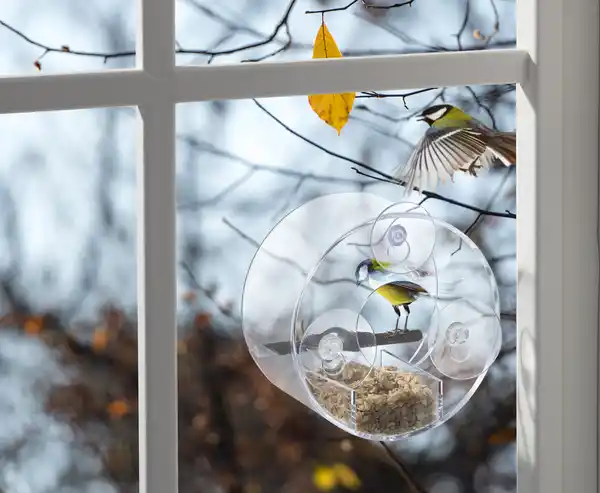 Bild 2 von IDEENWELT Transparente Futterstation
