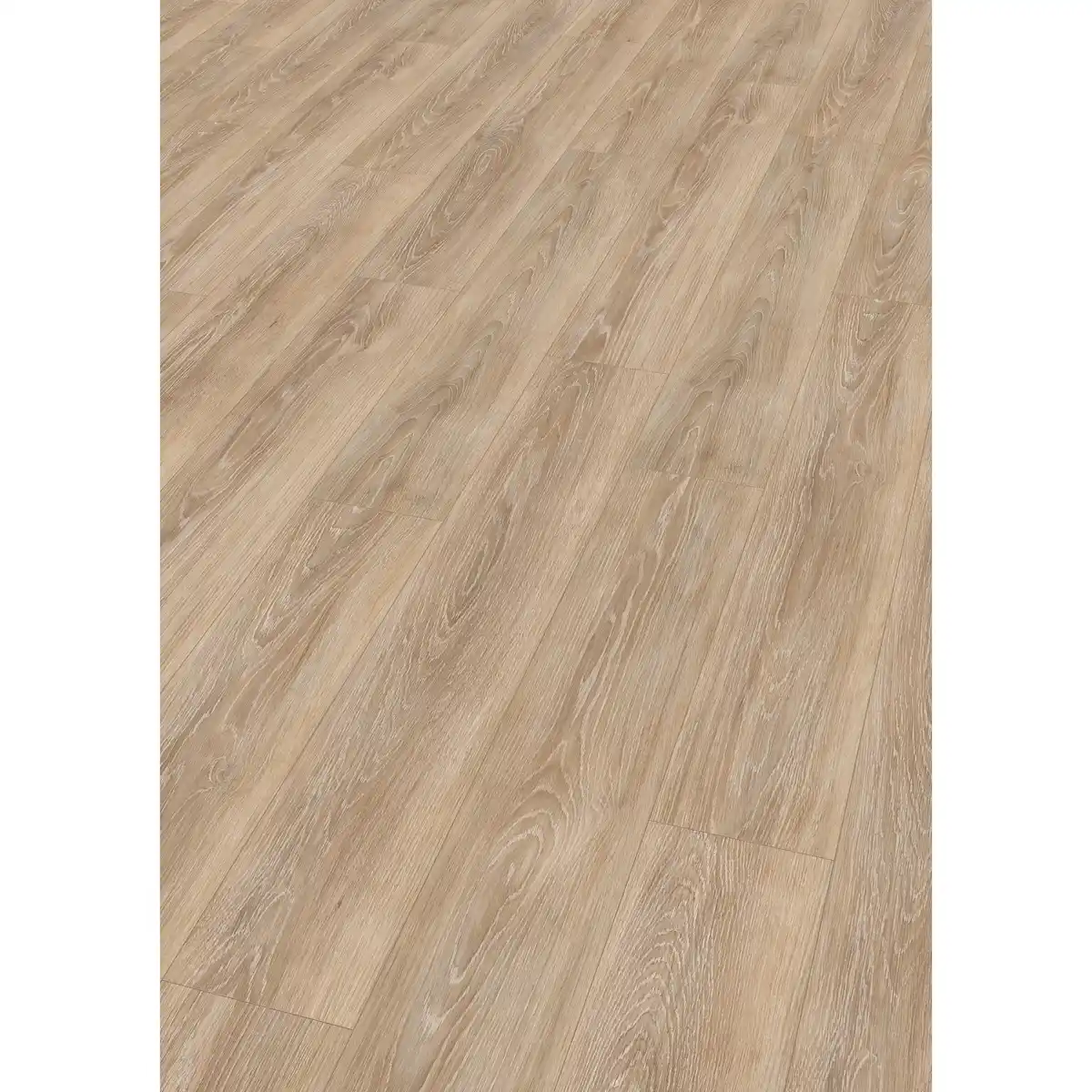 Bild 1 von EGGER Laminat 'Nature Sense EL2162' Newport Eiche hellbraun 7 mm
