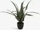 Bild 1 von Kunstpflanze CELIUS H65cm Aloe Vera