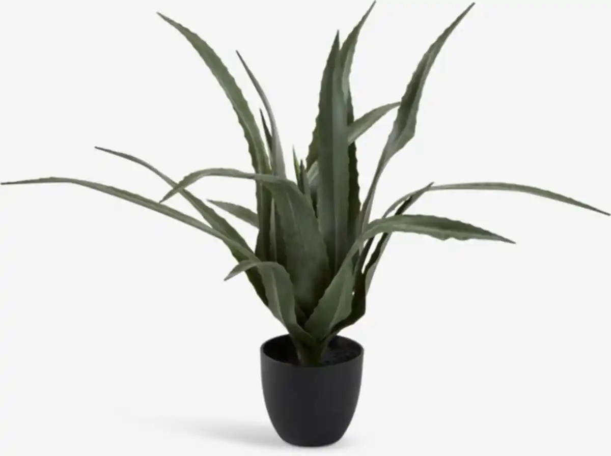 Bild 1 von Kunstpflanze CELIUS H65cm Aloe Vera