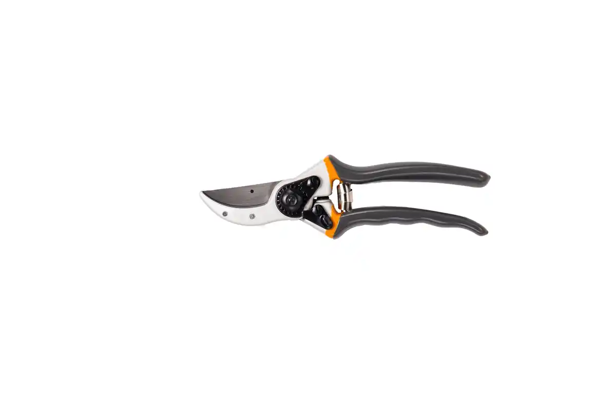 Bild 1 von Primaster Gartenschere Classic 25 cm