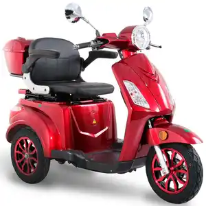 GREENSTREET Elektromobil »E-Mover«, max. 20 km/h, Reichweite: 50 km, weinrot