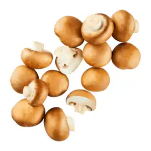 BIO Kulturchampignons braun 250g