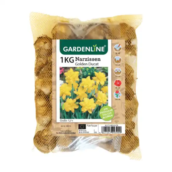 Bild 4 von GARDENLINE Narzissen- / Tulpenzwiebeln 1kg