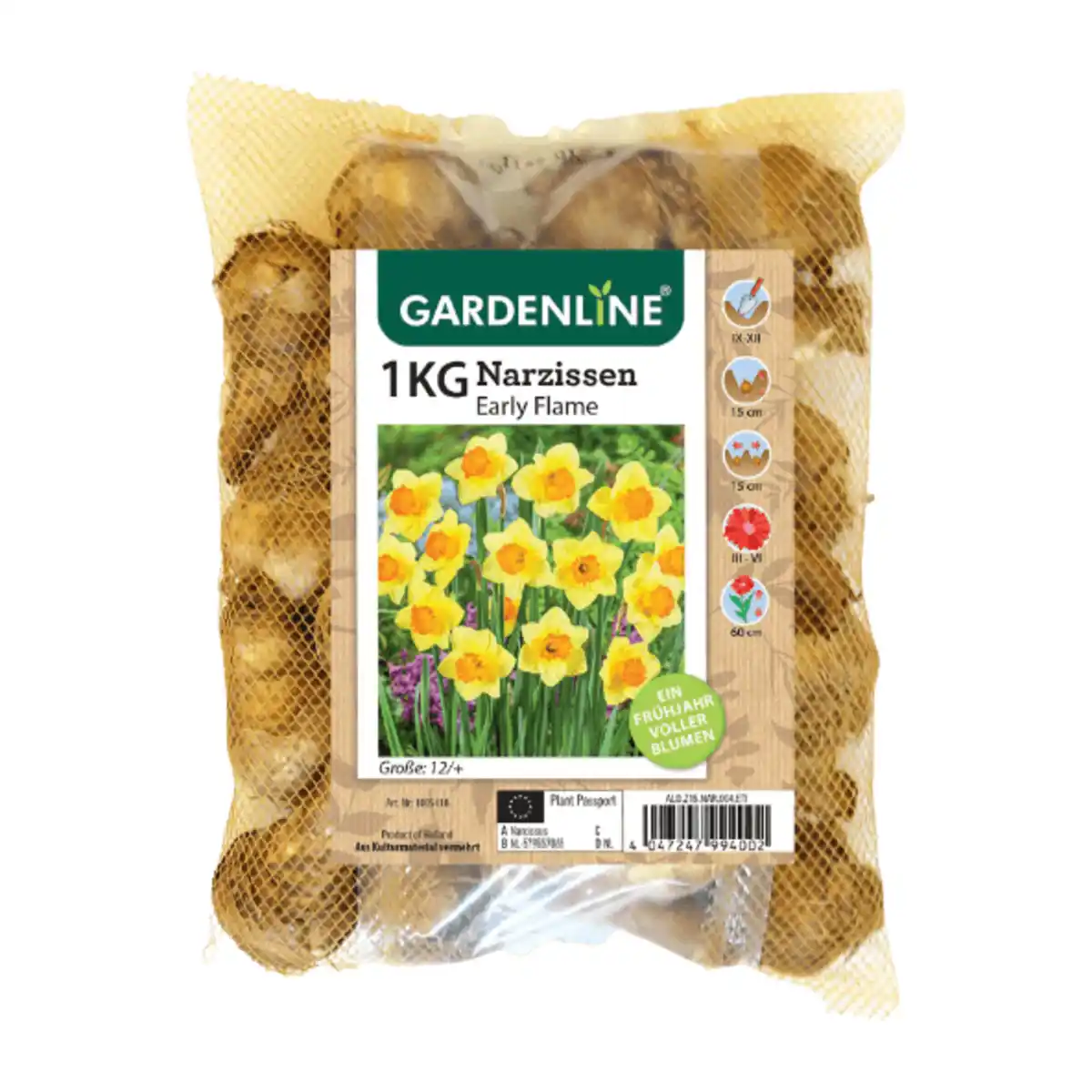 Bild 3 von GARDENLINE Narzissen- / Tulpenzwiebeln 1kg