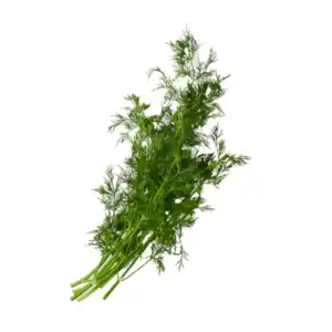 Dill