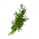 Bild 1 von Dill