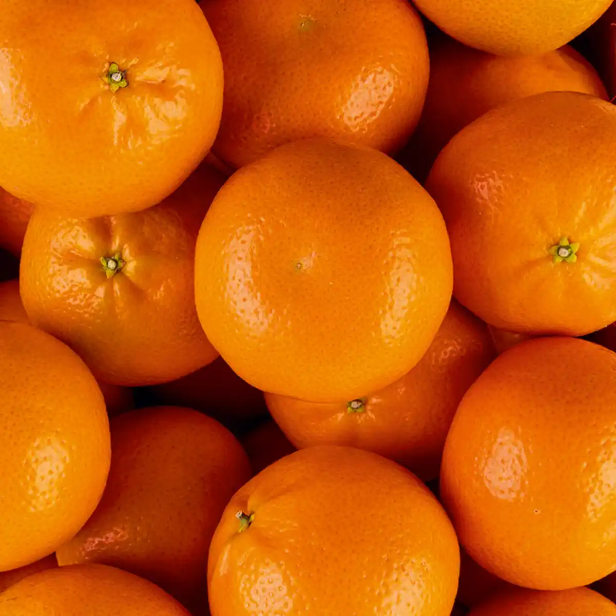 Bild 2 von River Valley Fresh Mandarinen