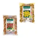 Bild 1 von GARDENLINE Narzissen- / Tulpenzwiebeln 1kg