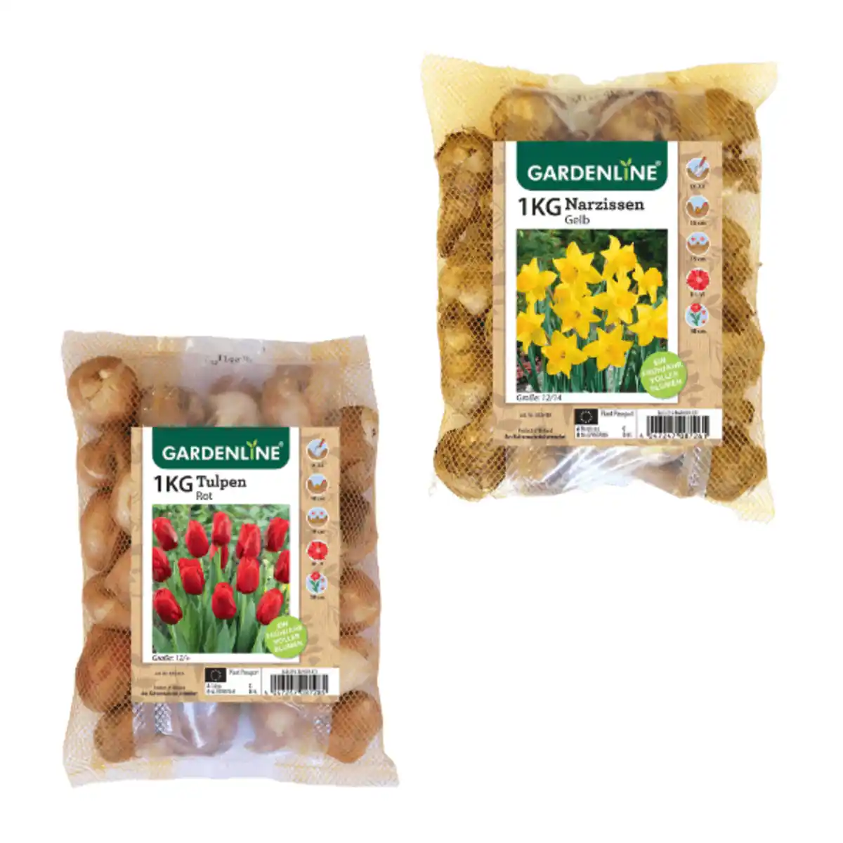 Bild 1 von GARDENLINE Narzissen- / Tulpenzwiebeln 1kg