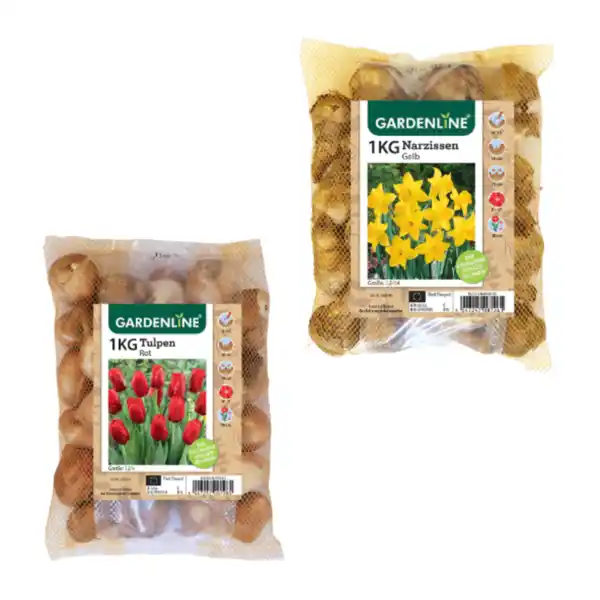 Bild 1 von GARDENLINE Narzissen- / Tulpenzwiebeln 1kg