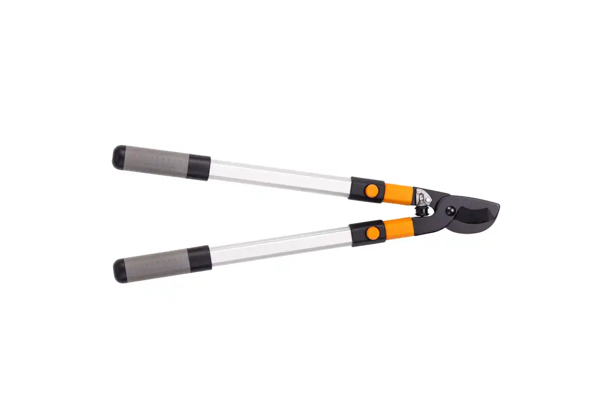 Bild 1 von Primaster Astschere Bypass teleskopierbar 62-89 cm