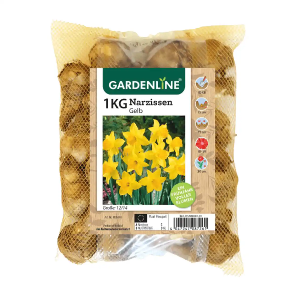 Bild 2 von GARDENLINE Narzissen- / Tulpenzwiebeln 1kg